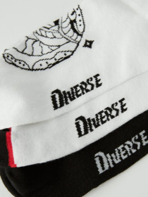 Набір шкарпеток DIVERSE модель 10041619 Фото