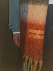 Шарф DIVERSE модель 10045859 Фото