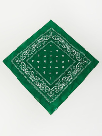 Платок DIVERSE модель 10046571 Фото