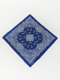 Платок DIVERSE модель 10046571 Фото