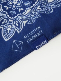 Платок DIVERSE модель 10046571 Фото