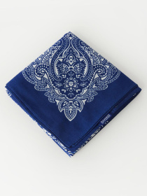 Платок DIVERSE модель 10046571 Фото