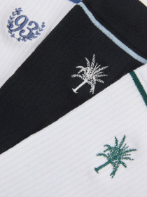 Набір шкарпеток DIVERSE модель 10046544 Фото