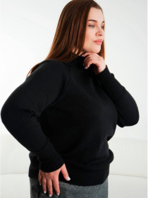 Джемпер Nita модель dzhemper-n2101-1-24-chernj Фото