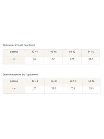 Худі RiMari модель 0223-blakitnij Фото