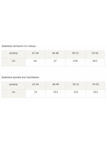 Худі RiMari модель 0223-chornij Фото