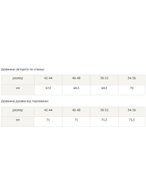 Худи RiMari модель 0222-chornij-z-blakitnim Фото