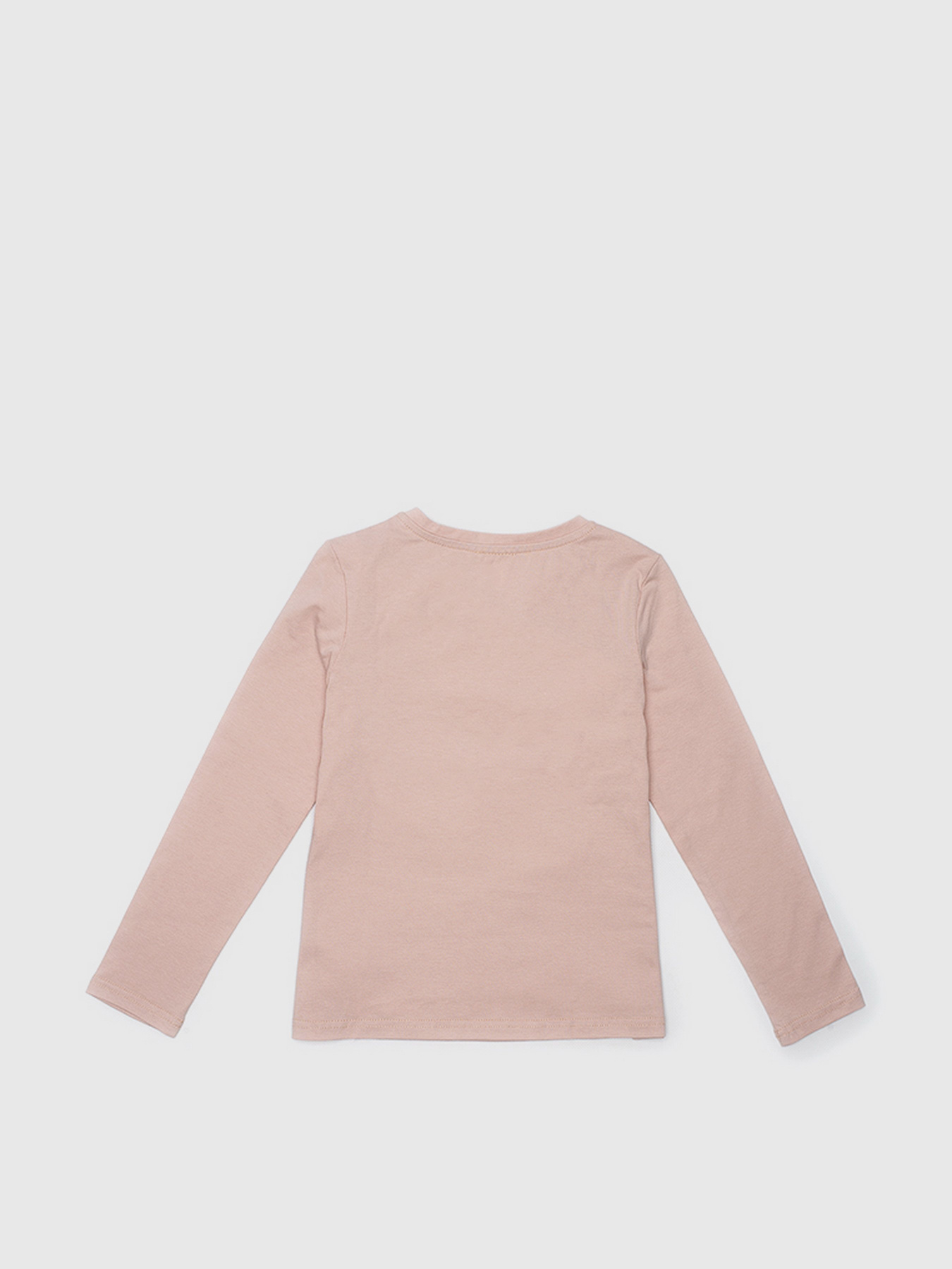 Лонгслив Роза модель 210806 Лонгслив Роза модель 210806 Фото