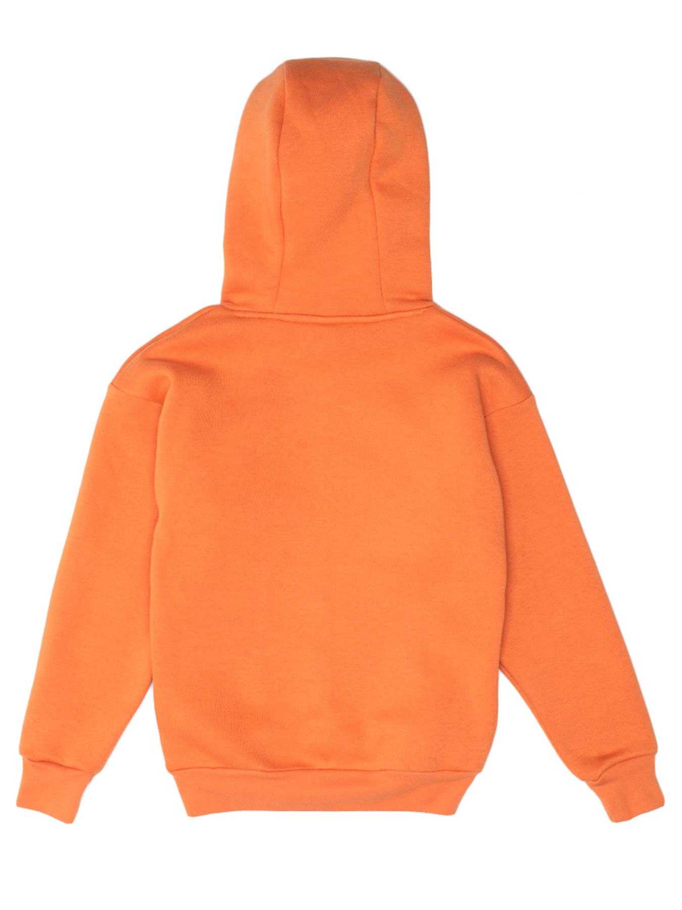 Худи Роза модель 210573 Фото