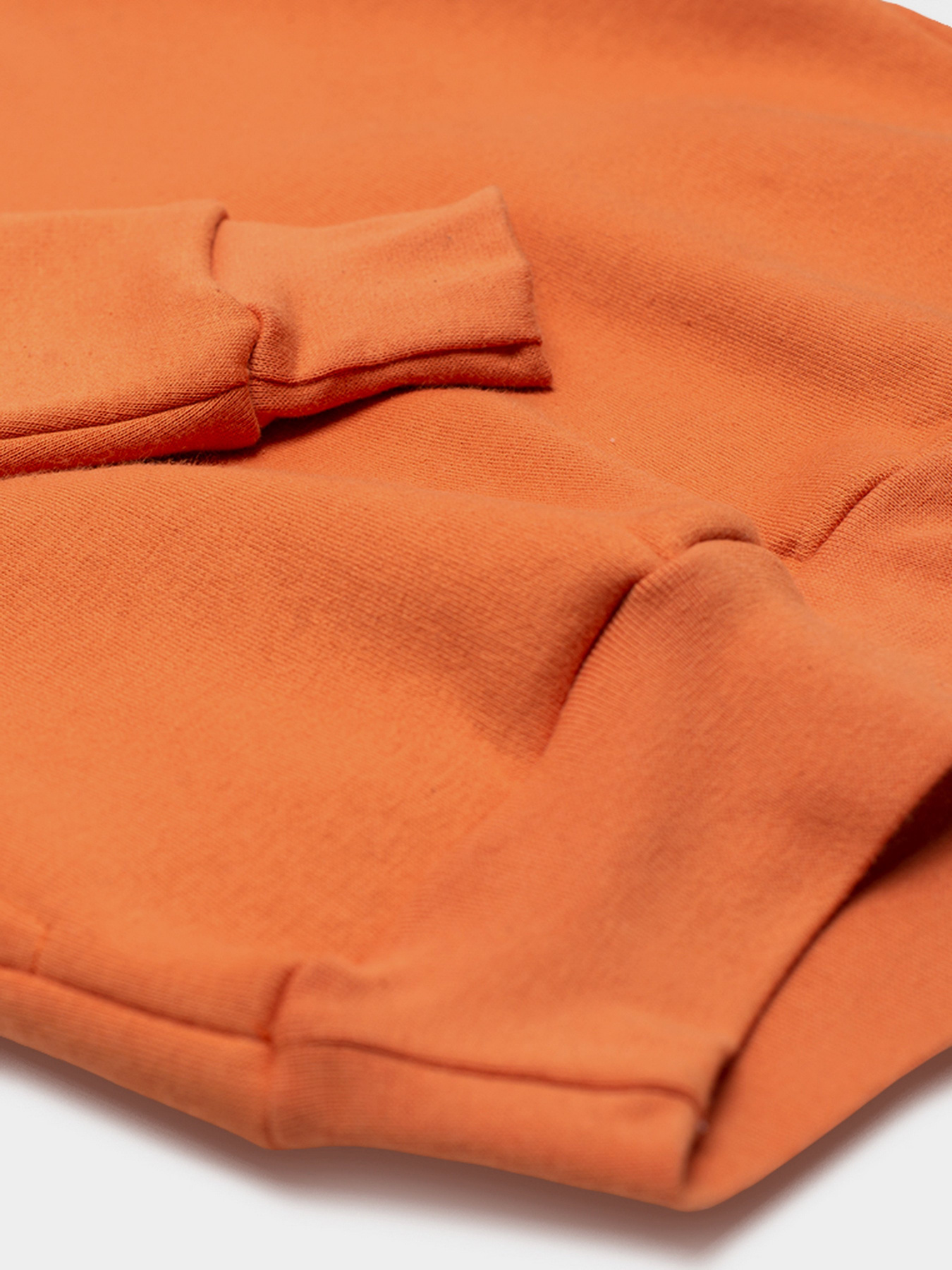 Худи Роза модель 210573 Фото