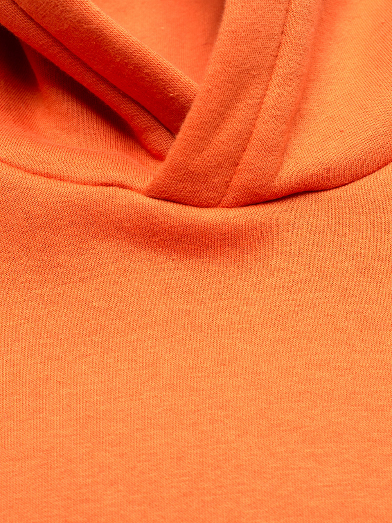 Худи Роза модель 210573 Фото