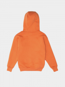 Худи Роза модель 210573 Фото