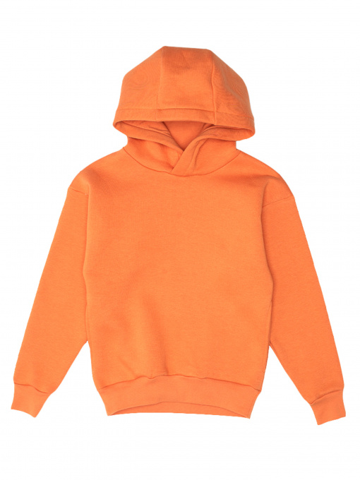 Худи Роза модель 210573 Фото