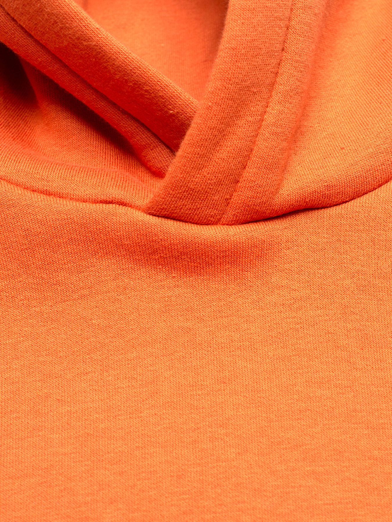 Худі Роза модель 210573 Фото