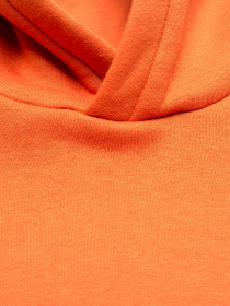 Худі Роза модель 210573 Фото