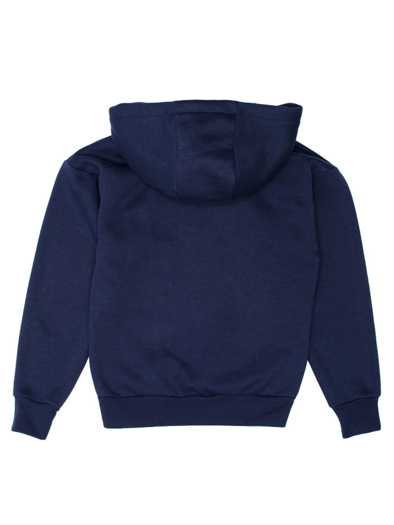 Худи Роза модель 210573-1 Фото