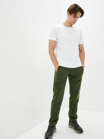 Спортивні штани ISSA Plus модель GN-405_hacks Фото