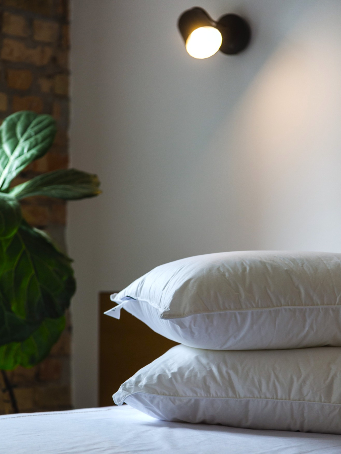 Подушка Ecofill Premium антиалергенная с кантом и наполнителем биопух в чехле для хранения Ecotton модель 25069 Фото