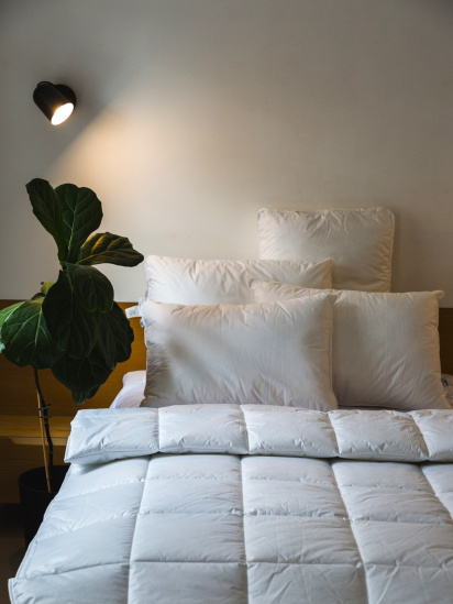 Ecotton ­Подушка Ecofill Premium антиалергенна з кантом та наповнювачем біопух в чохлі для зберігання модель 25069 — фото - INTERTOP