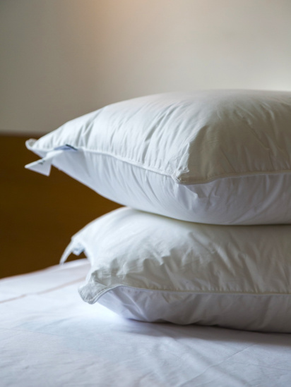Ecotton ­Подушка Ecofill Premium антиалергенна з кантом та наповнювачем біопух в чохлі для зберігання модель 25069 — фото 3 - INTERTOP