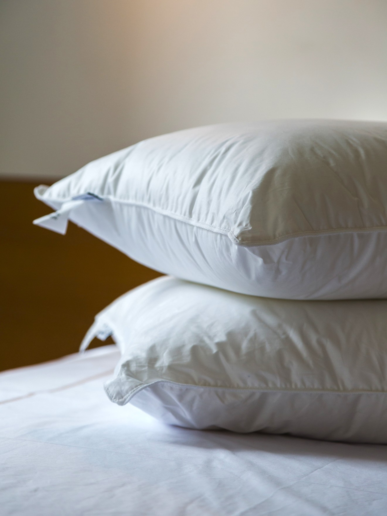 Подушка Ecofill Premium антиалергенна з кантом та наповнювачем біопух в чохлі для зберігання Ecotton модель 25069 Фото