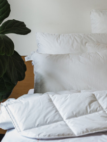 Подушка Ecofill Premium антиалергенна з кантом та наповнювачем біопух в чохлі для зберігання Ecotton модель 25069 Фото