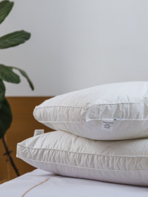 Подушка Ecofill Premium антиалергенная с двойным бортом и наполнителем биопух в чехле для хранения Ecotton модель 25070 Фото