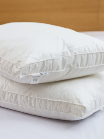 Подушка Ecofill Premium антиалергенна з подвійним бортом та наповнювачем біопух в чохлі для зберігання Ecotton модель 25070 Фото