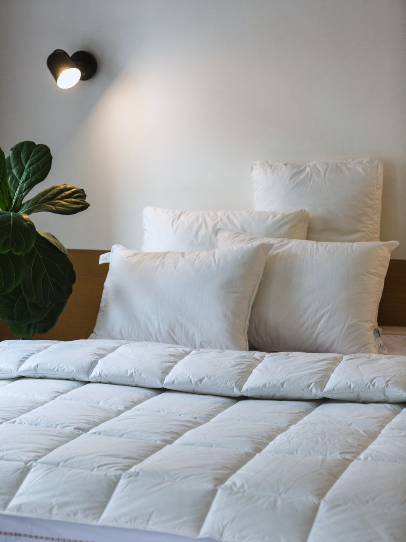 Одеяло Ecofill Premium антиалергенное с наполнителем биопух в чехле для хранения Ecotton модель 25081 Фото