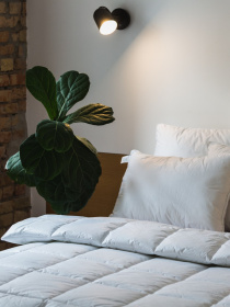 Одеяло Ecofill Premium антиалергенное с наполнителем биопух в чехле для хранения Ecotton модель 25081 Фото