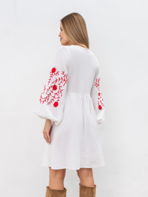 Сукня міні Romashka Калькутта модель 201063405091 Фото