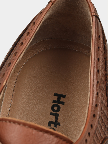 Туфлі Horton Montana модель 5040-5 — фото 6 - INTERTOP