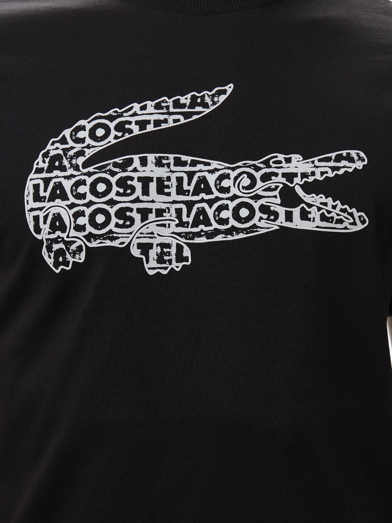 Футболка Lacoste модель TH0508031 Фото