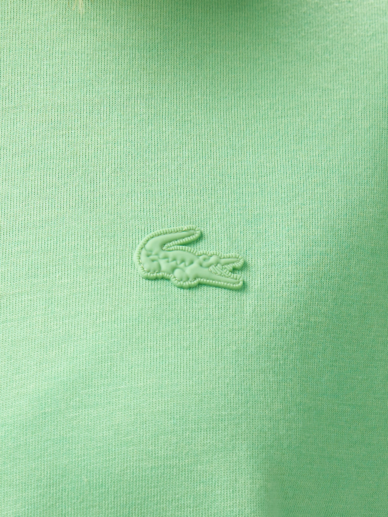 Футболка Lacoste модель TF0503TTF Фото