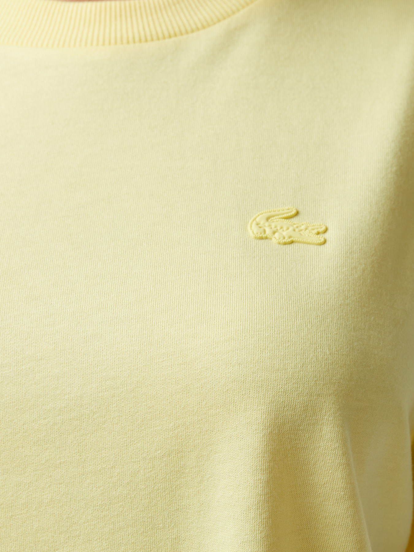 Футболка Lacoste модель TF0503107 Фото