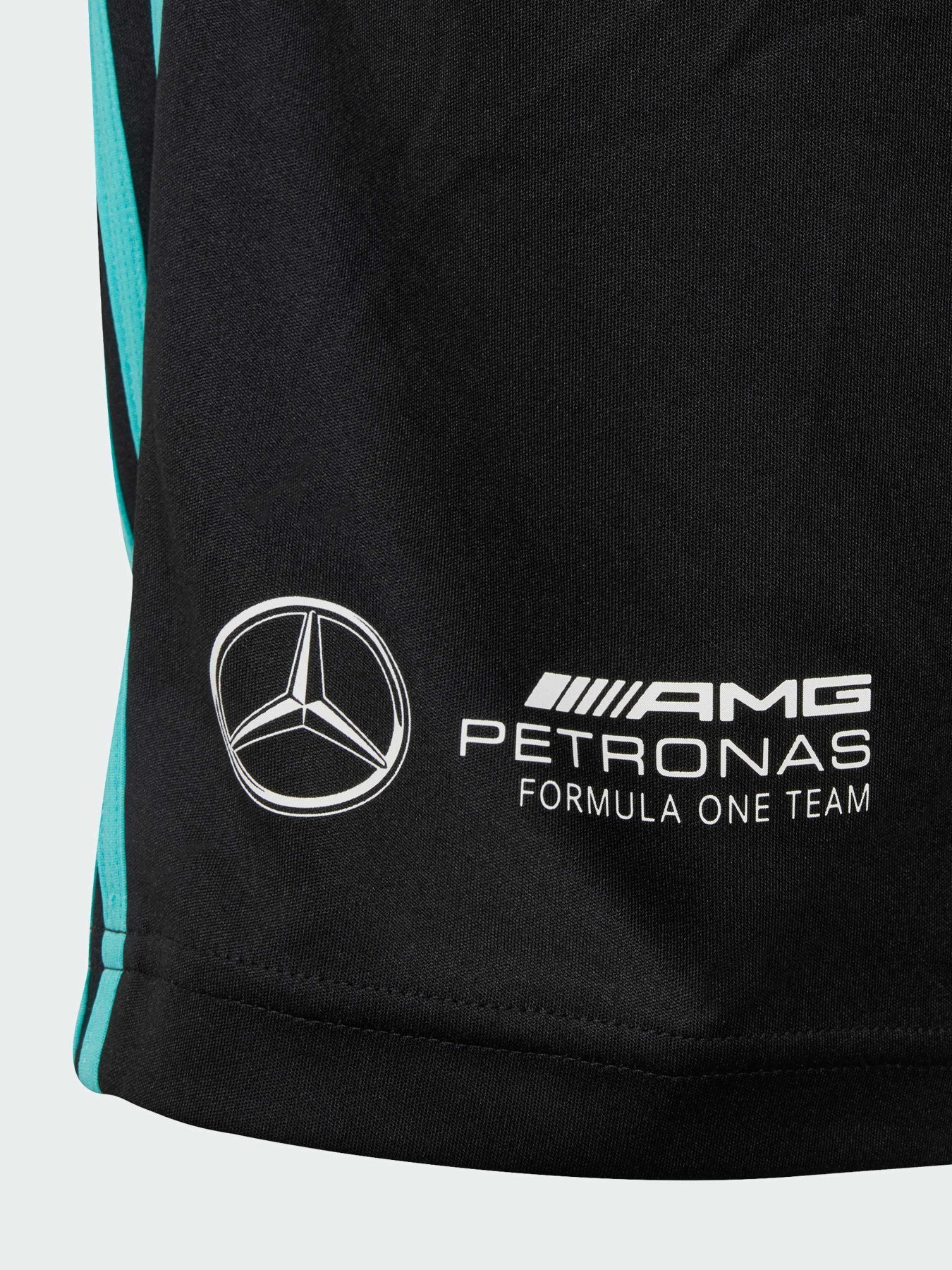 Шорты спортивные Adidas модель JV5428 Фото