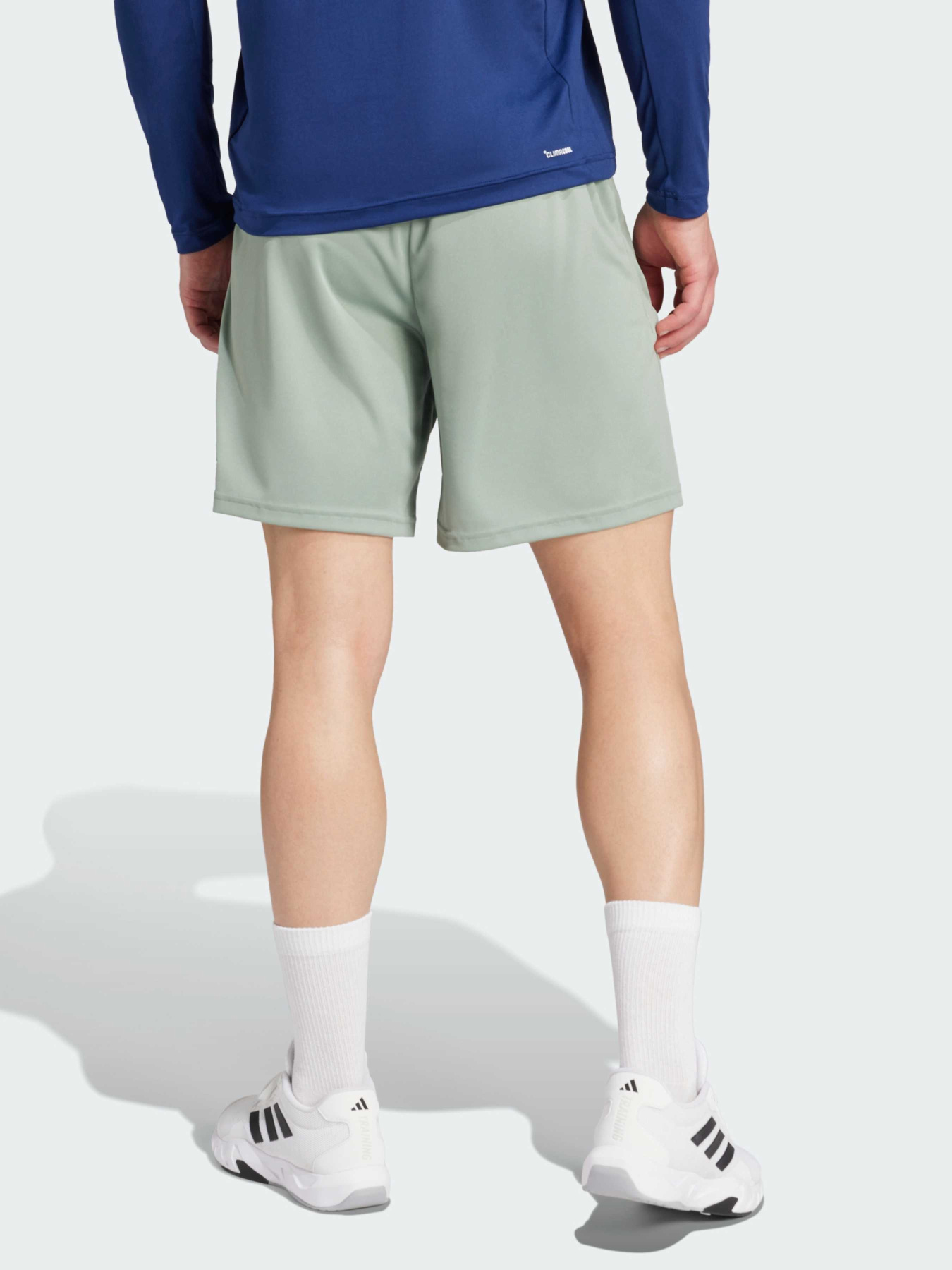 Шорти спортивні Adidas модель JD4872 Фото