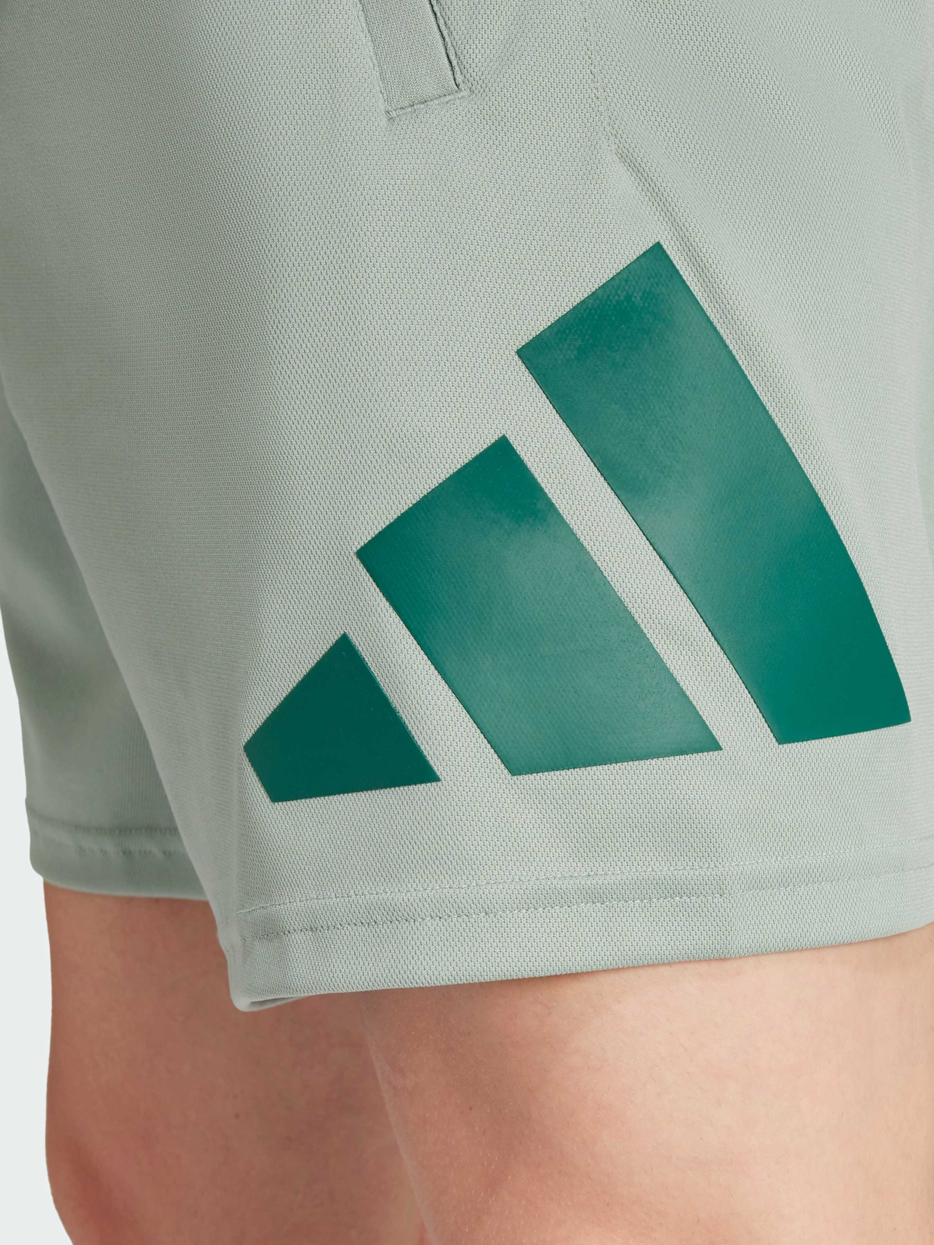 Шорти спортивні Adidas модель JD4872 Фото