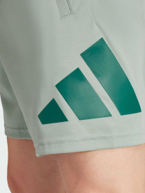 Шорти спортивні Adidas модель JD4872 Фото