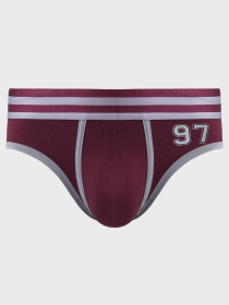 Труси Geronimo модель 2497s2-2 Фото