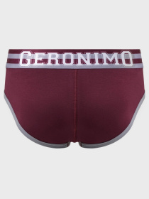 Трусы Geronimo модель 2497s2-2 Трусы Geronimo модель 2497s2-2 Фото