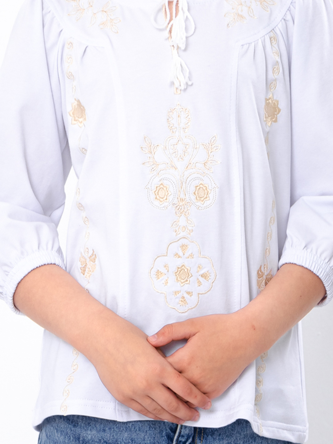 Вишита сорочка Носи своє модель 6450-052-22-blij-ornament Фото