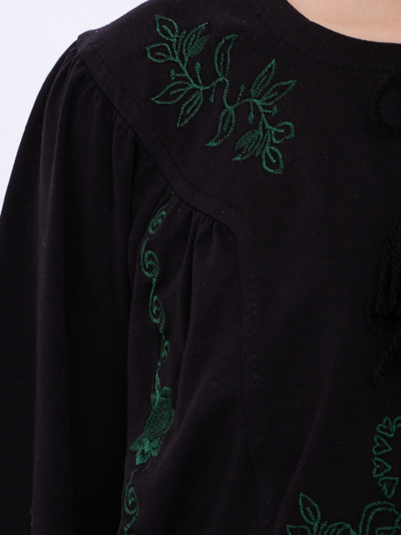 Вышитая рубашка Носи своє модель 6450-036-22-chornij-ornament Фото