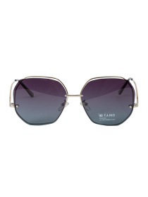 Окуляри Famo модель E2332P_02 Фото