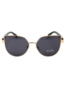 Очки Famo модель E2009_02 Фото