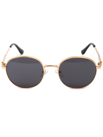 Сонцезахисні окуляри Famo модель E8209_04 Фото