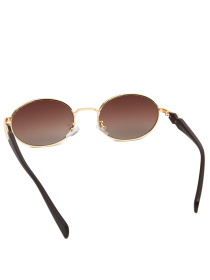 Очки Famo модель E8215_04 Фото