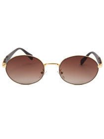 Очки Famo модель E8215_04 Фото