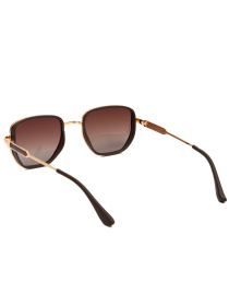 Солнцезащитные очки Famo модель E8216_01 Фото