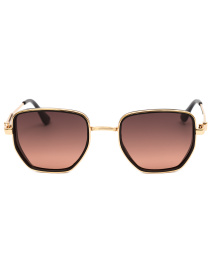 Сонцезахисні окуляри Famo модель E8216_03 Фото